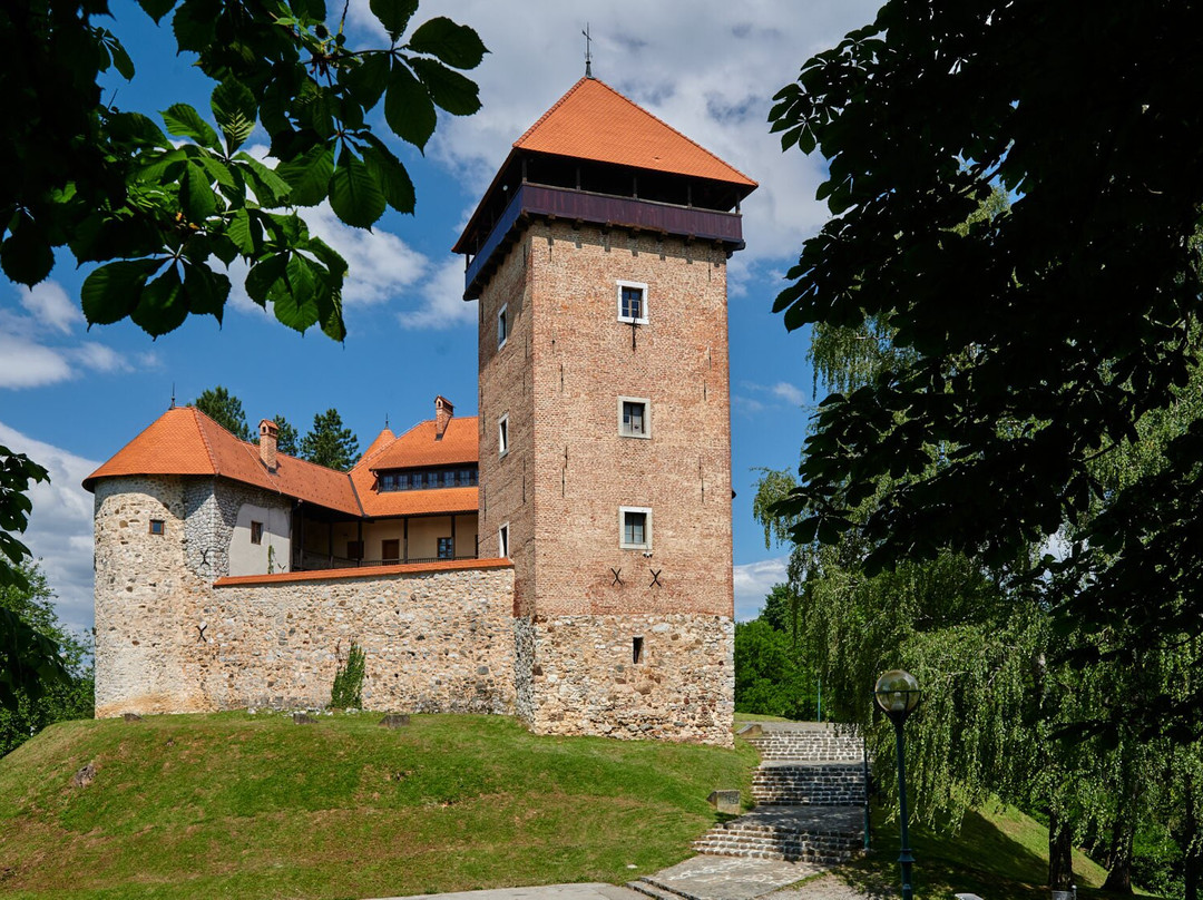 Dubovac Castle景点图片