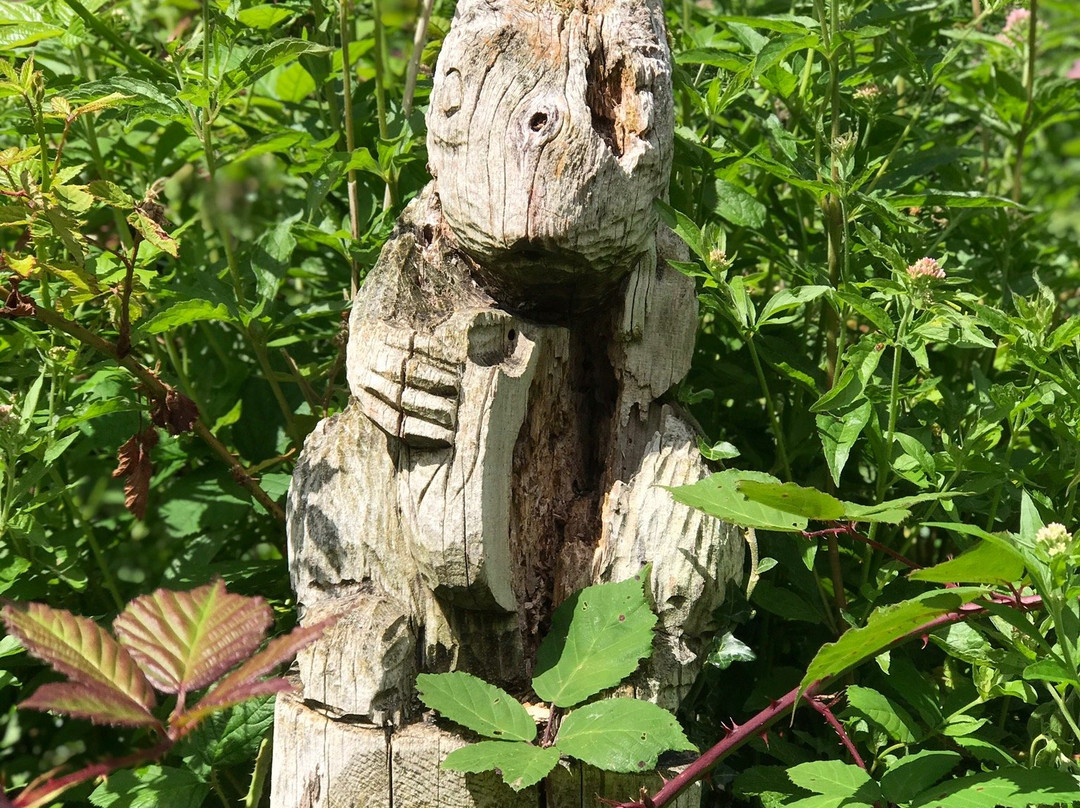 Welsh Wildlife Centre-Cardigan必去景点