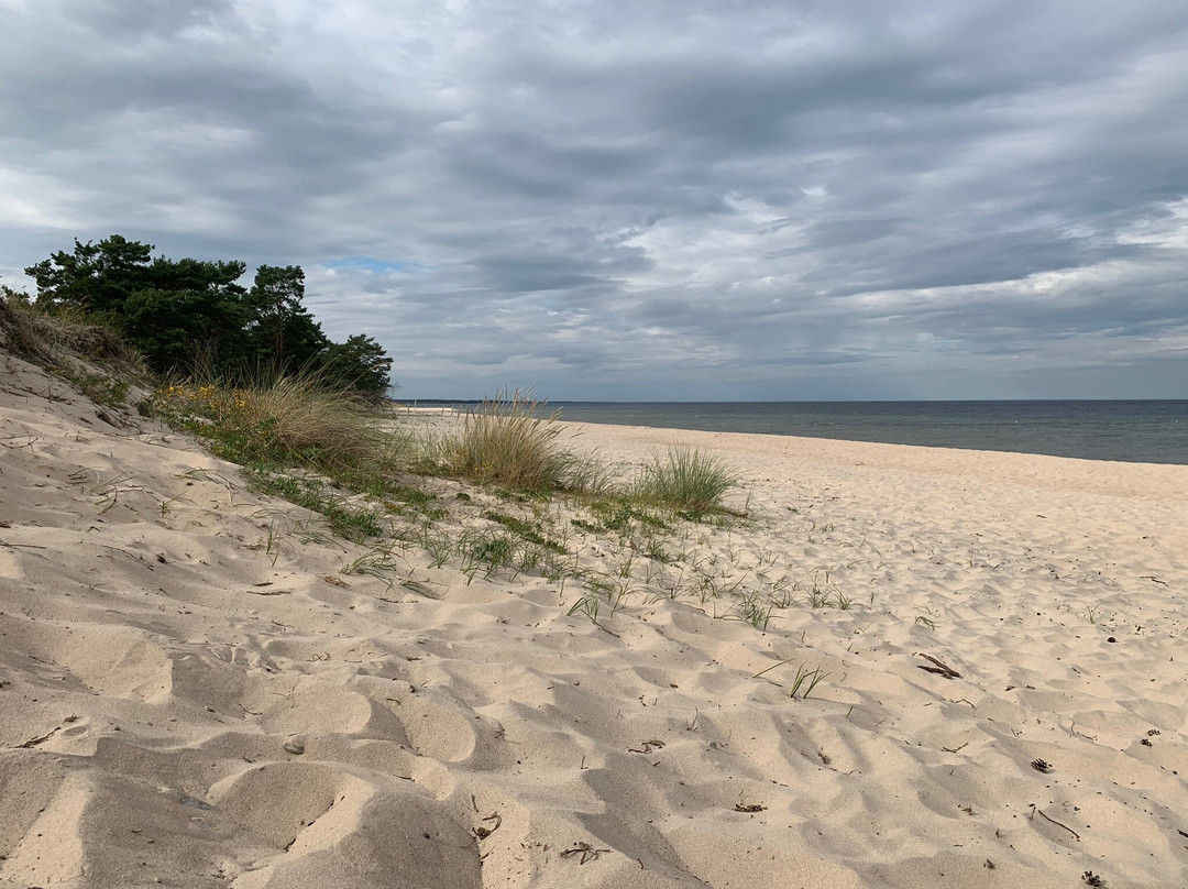 Vitemolla beach-Kivik必去景点