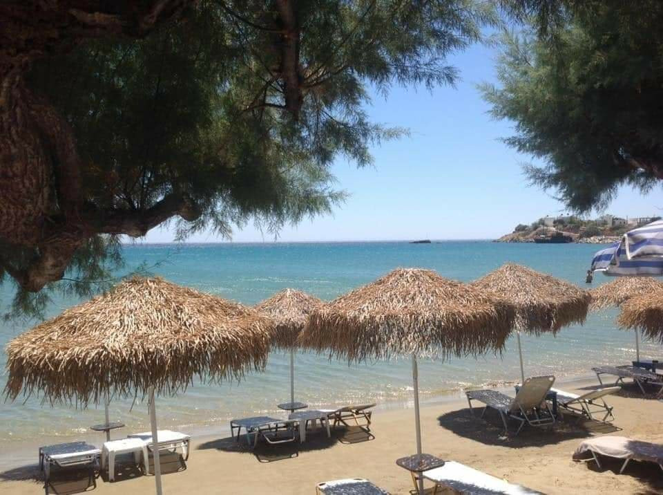Revans Bar