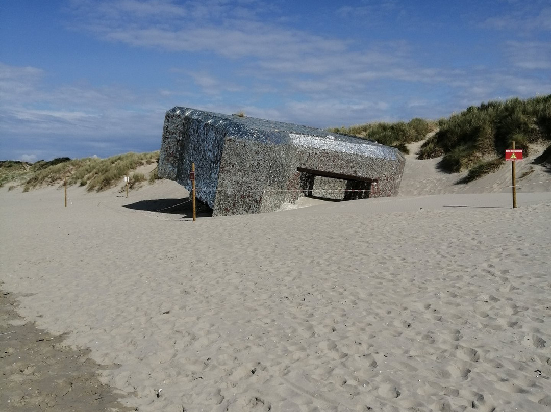 Batterie de Zuydcoote景点图片