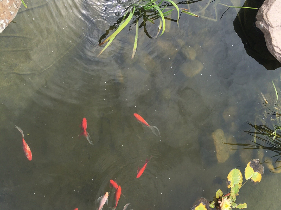 Massanutten Country Corner-卢雷必去景点