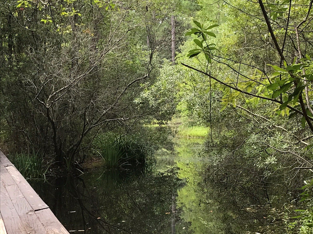 Crosby Arboretum-Picayune必去景点
