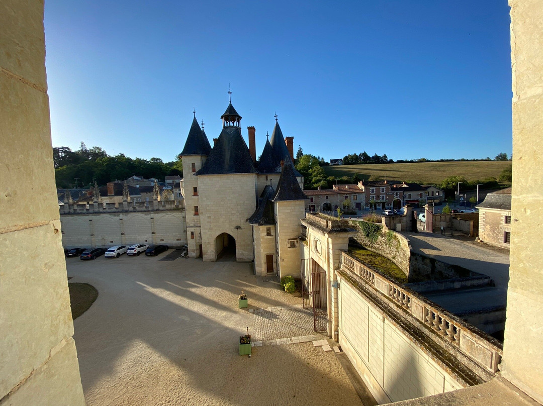 Chateau de Dissay景点图片