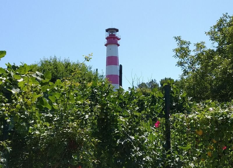 Lighthouse on Cape Tolsty景点图片