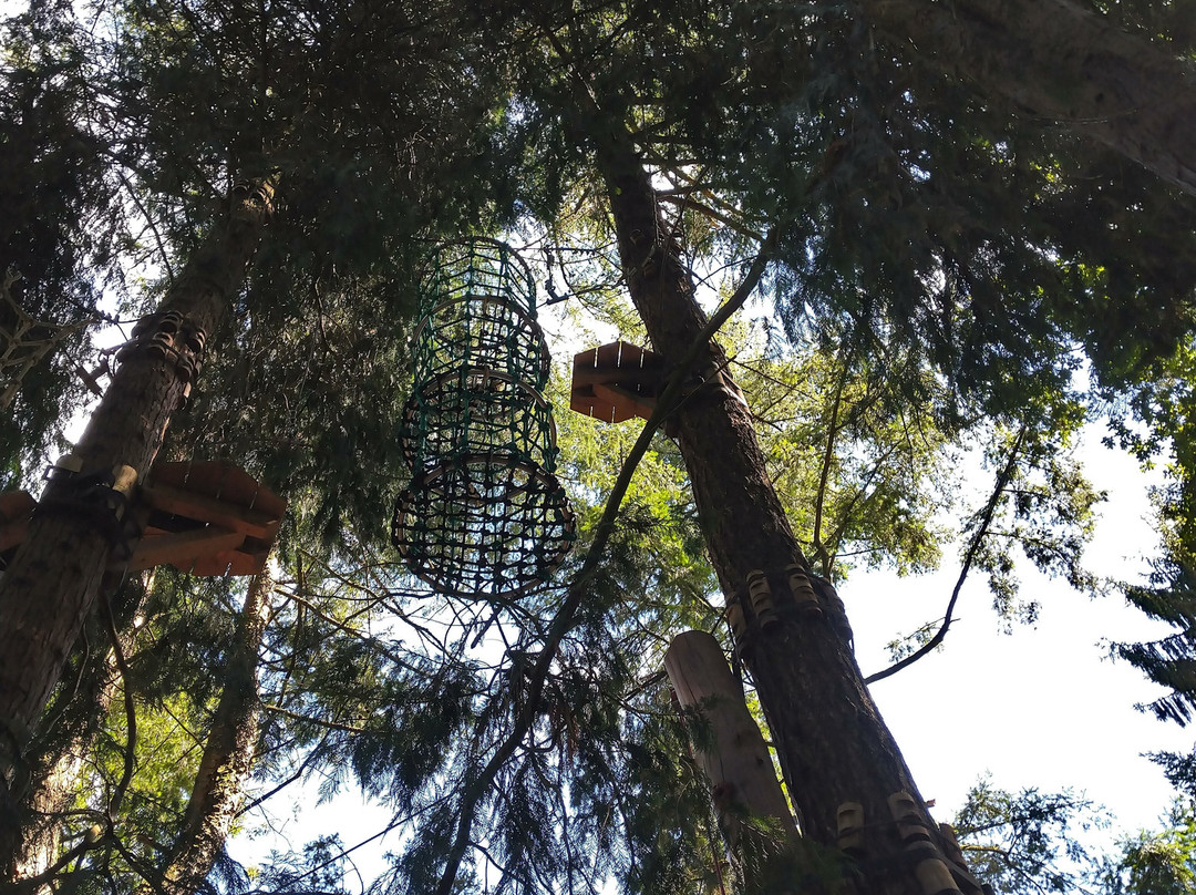 Adrenature Parc Aventure-Melgven必去景点