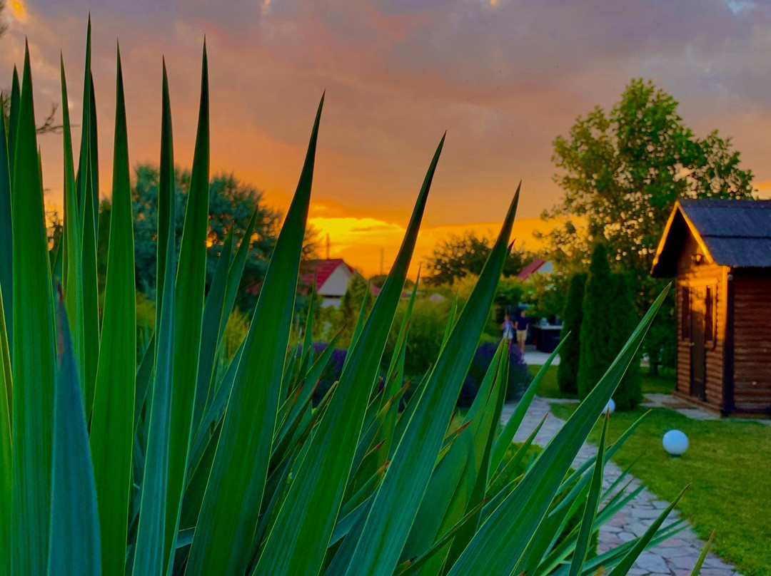 Country Hotel Bless Village主图