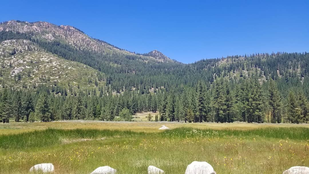 Grover Hot Springs State Park景点图片