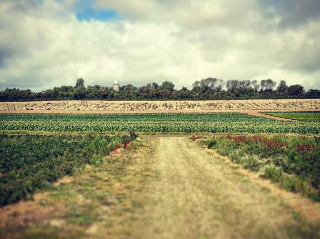Roundstone Farm景点图片
