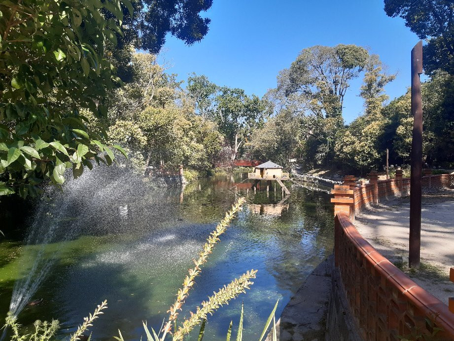 Parque Infante D. Pedro景点图片