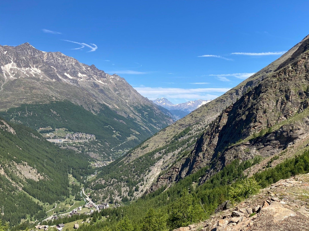 Hotel Alpenhof主图