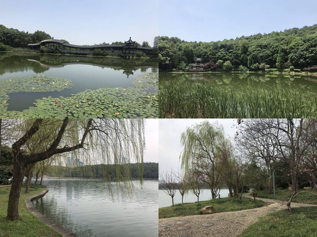 烈士公园景点图片