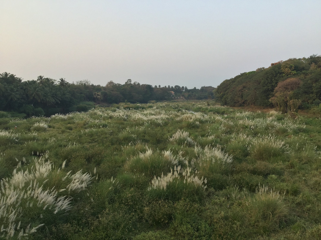 Kairali - The Ayurvedic Healing Village主图