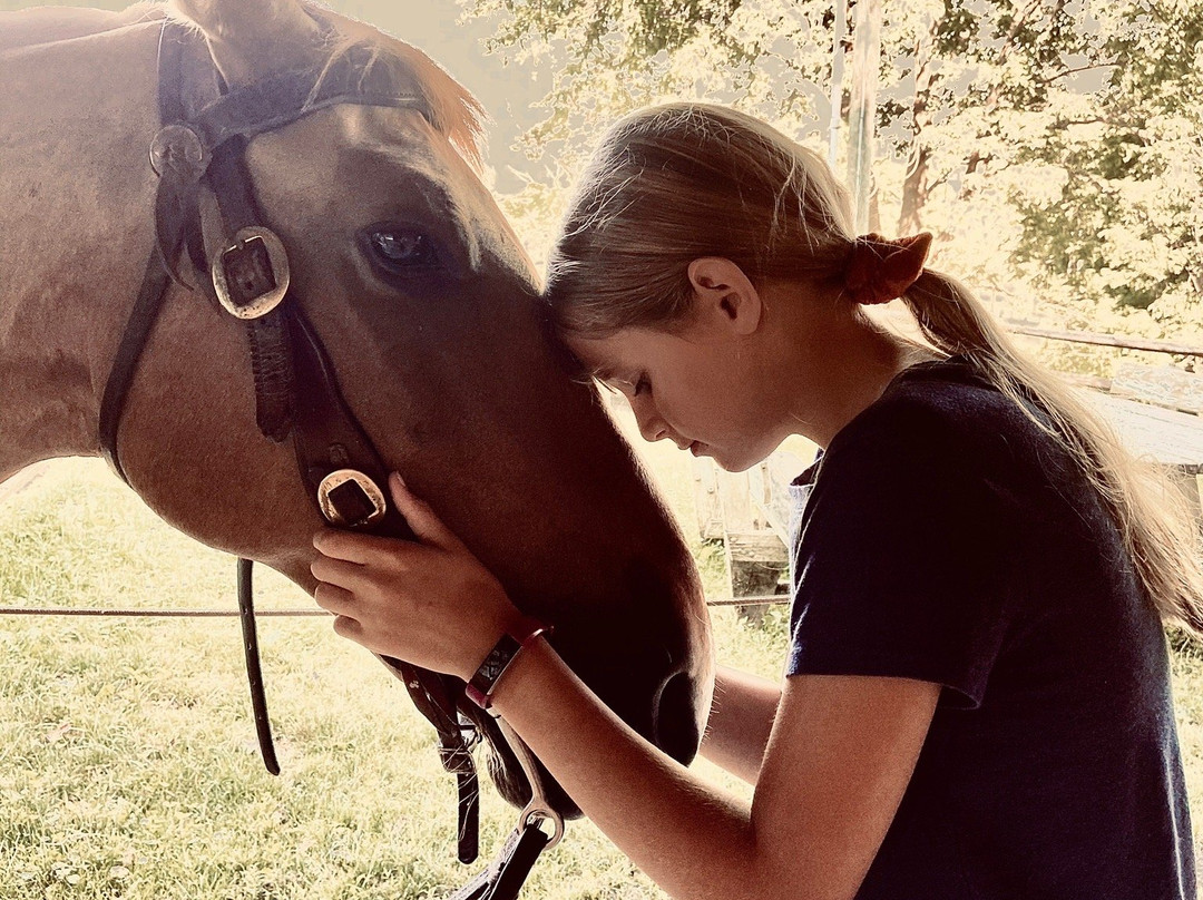 Amish Country Riding Stables-Millersburg必去景点
