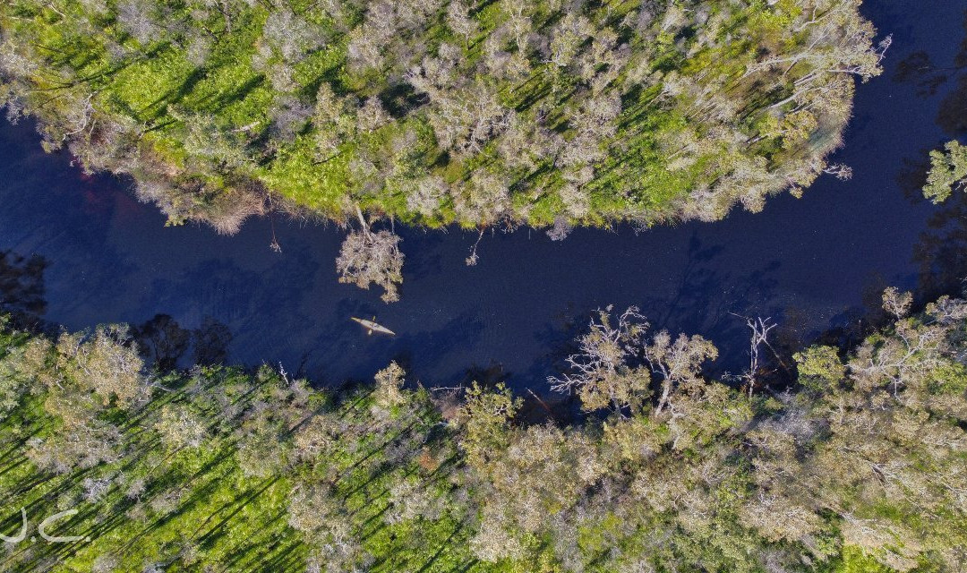 Kanu Kapers Australia Noosa Everglades Kayak Day Tours-努沙必去景点