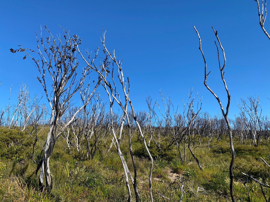 Coast Walk-Royal National Park必去景点