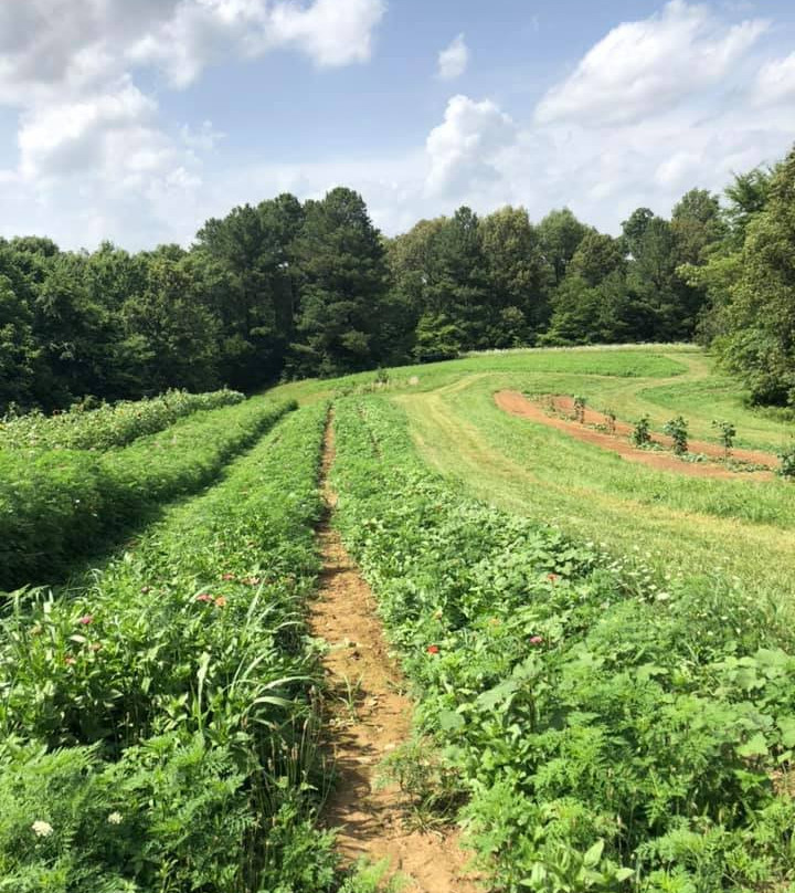 Honey Hill Farms-Mayfield必去景点