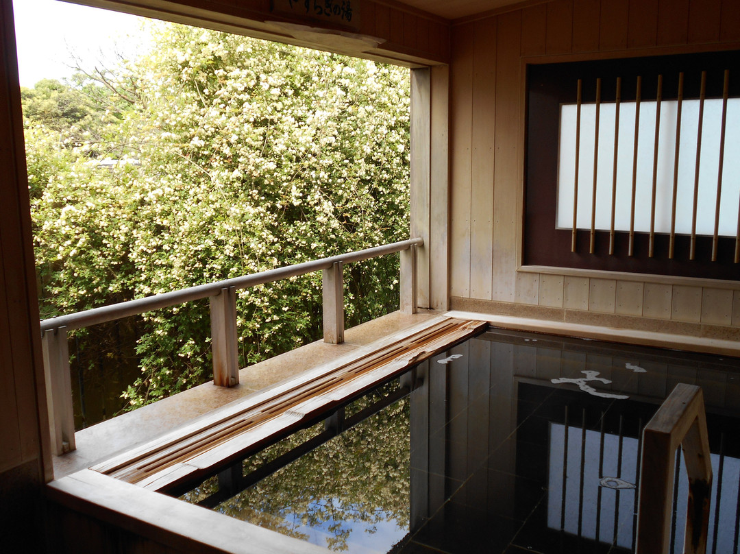 Hotel New Katsura主图