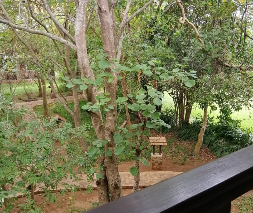 茶花酒店及水疗中心主图