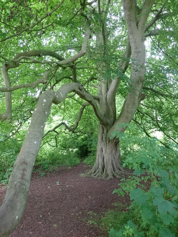 East Carlton Country Park-科比必去景点