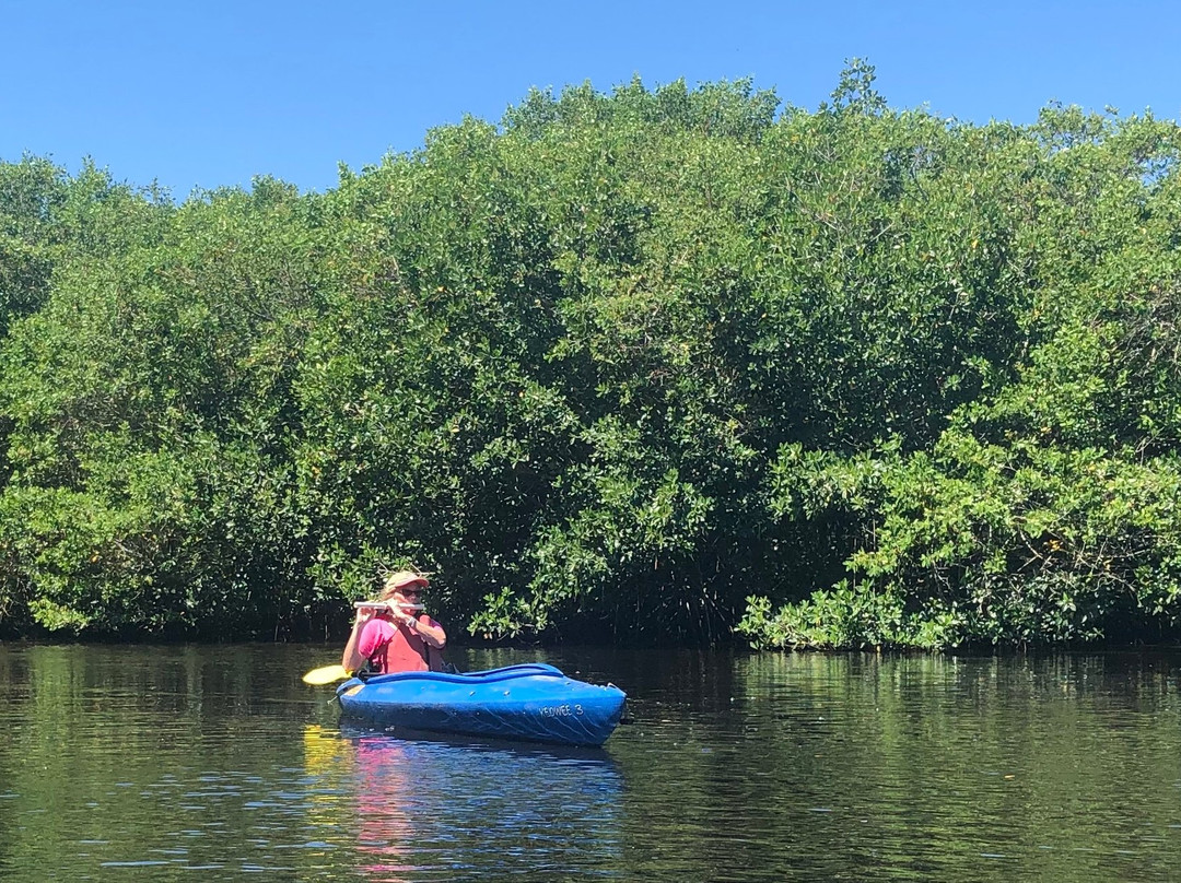 GAEA Guides - Guided Kayak Nature Tours-迈尔斯堡必去景点