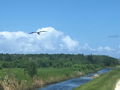 Lagoon Greenway-维罗海滩必去景点