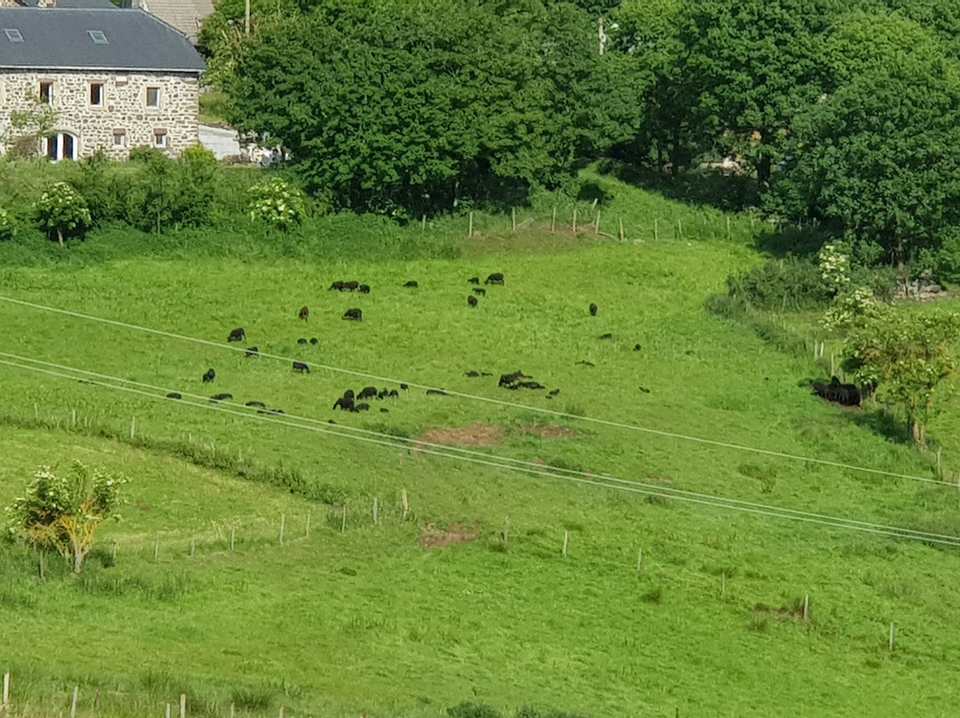 La Ferme du Fraisse主图