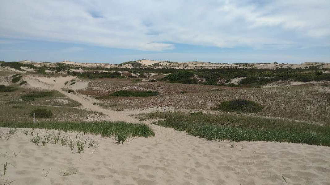 Dune Shacks Trail景点图片