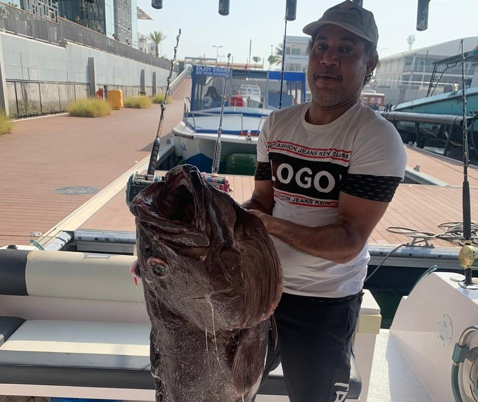 ROYAL MARINE TOURS- Daymaniat Island-锡卜必去景点