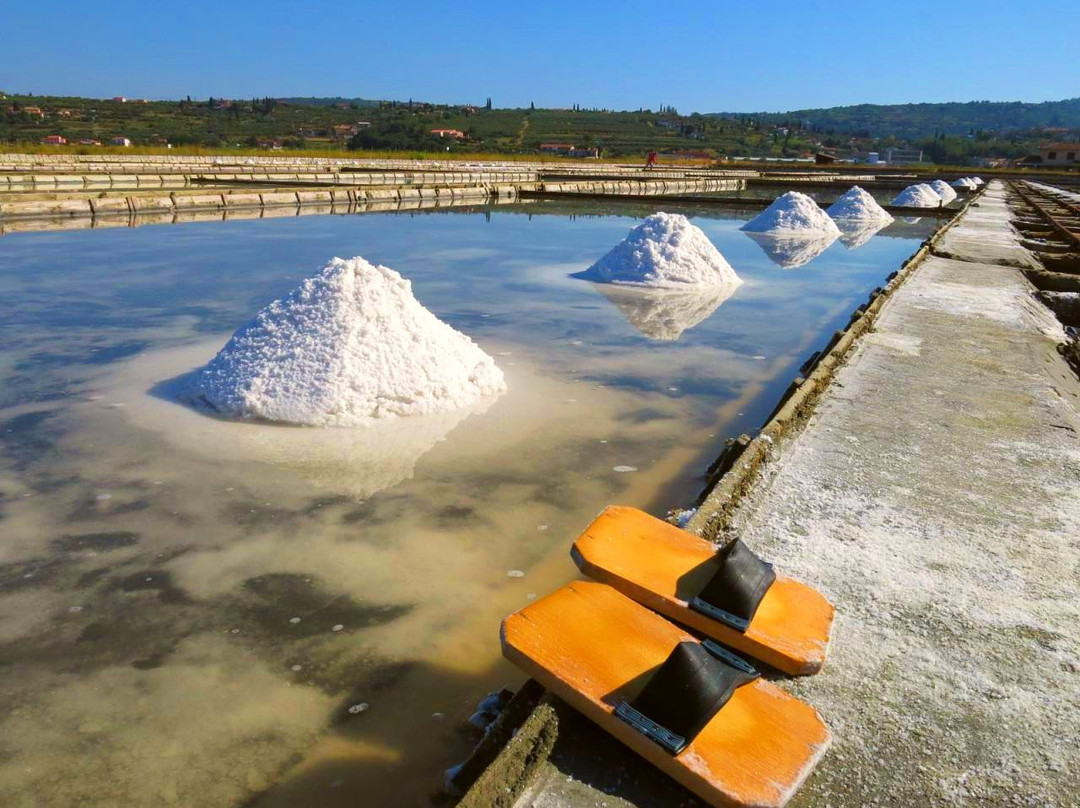 Go Portorož-波多若斯必去景点