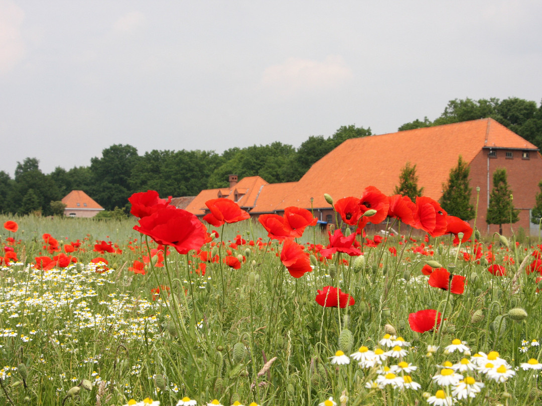 Plantentuin ' De Kleine Boerderij' Merksplas景点图片