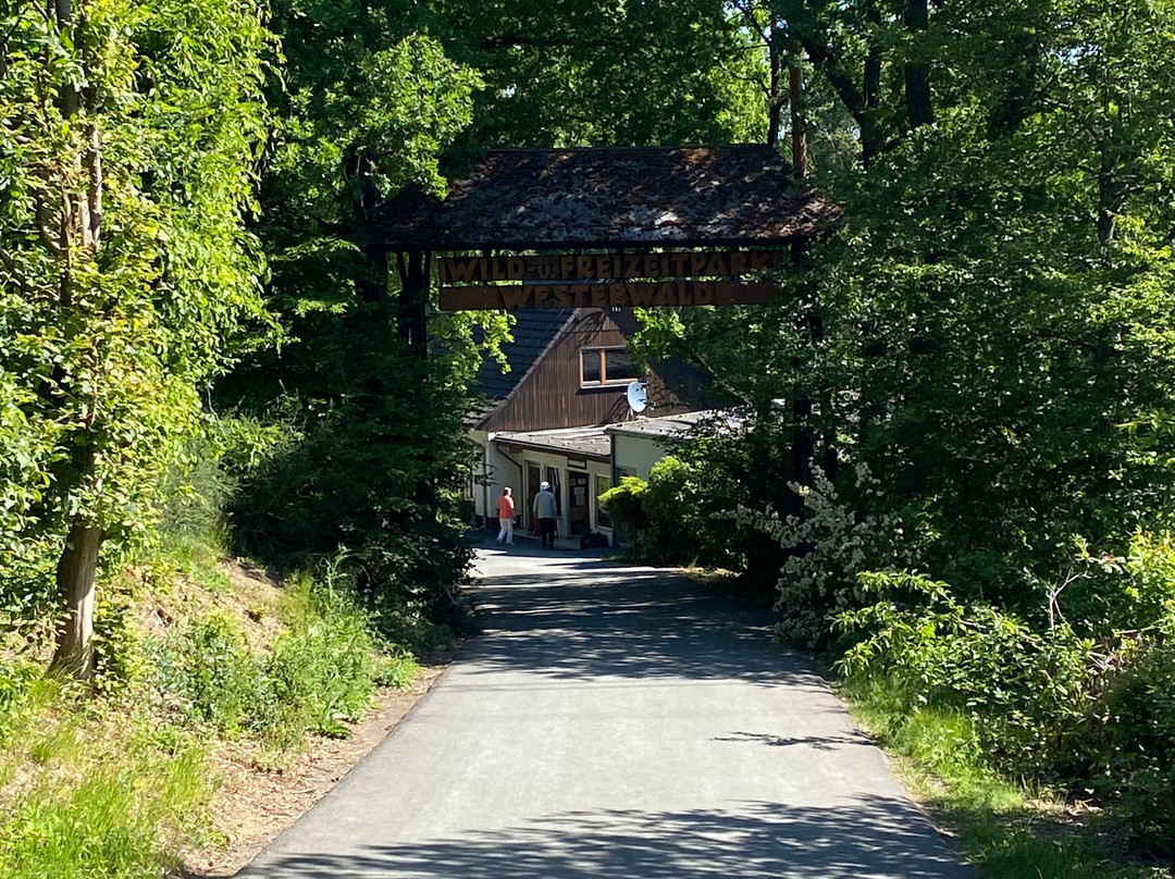 Wild- und Freizeitpark Westerwald景点图片