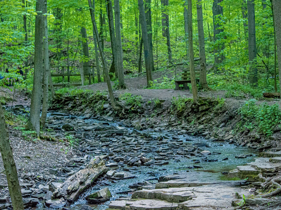 Town of Lockport Nature Trail景点图片