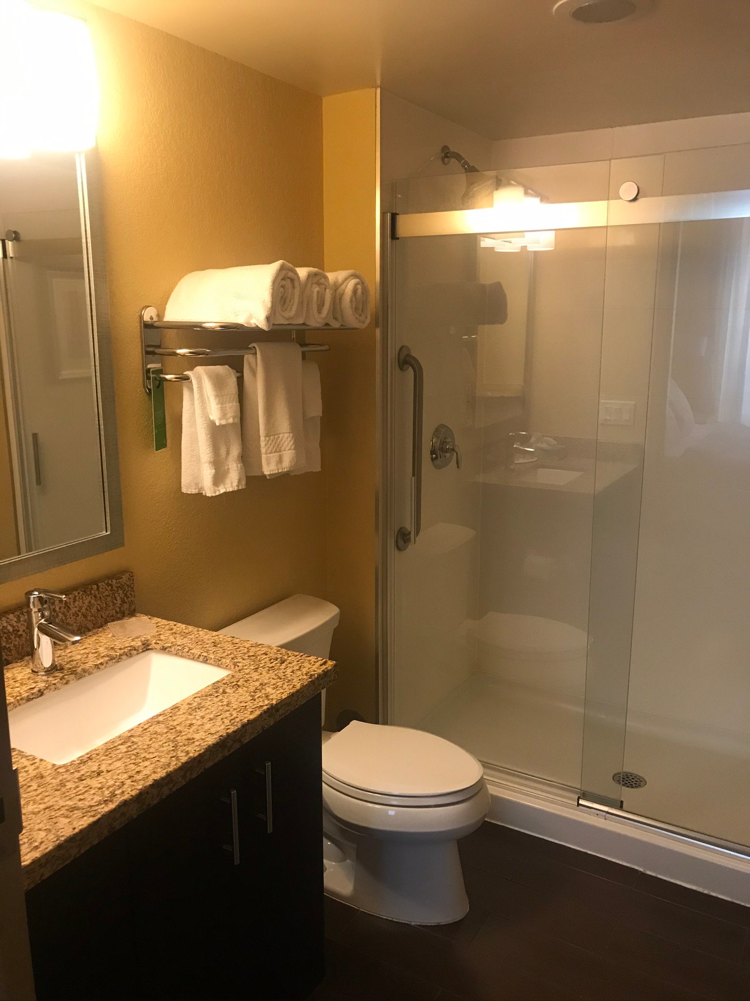 Towneplace Suites Thunder Bay-浴室