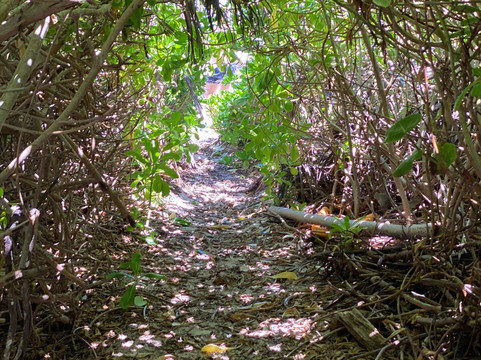 Tulum Diving & Travel-图伦必去景点