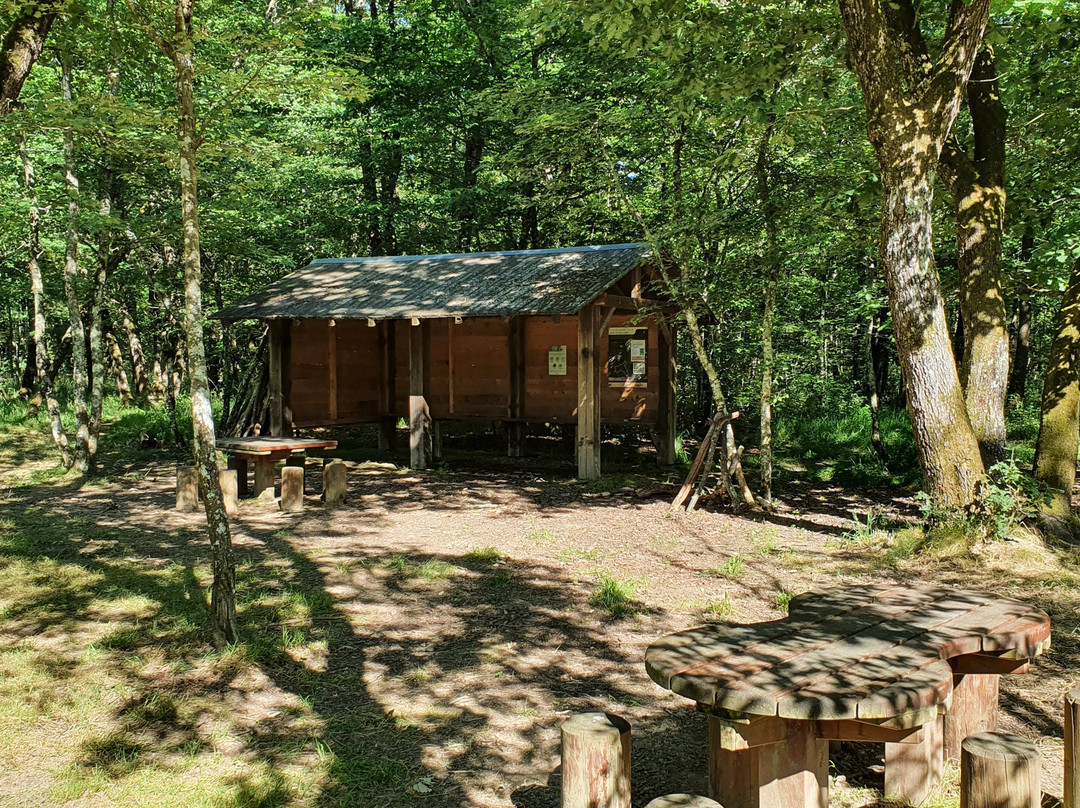 Forêt de Bouconne-Levignac必去景点