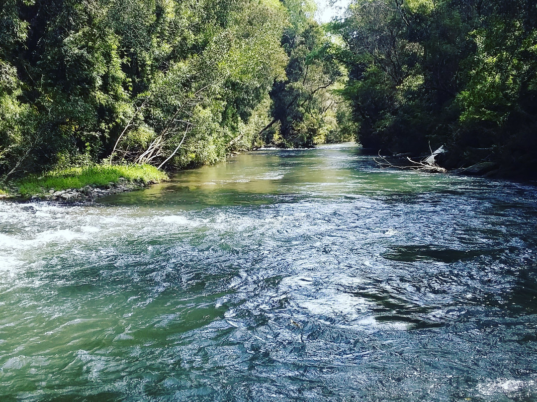 Trongol Bajo-Curanilahue必去景点
