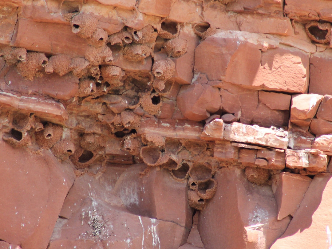 Red Mountain Open Space-Wellington必去景点