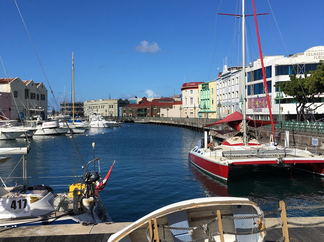 Barbados Sport Fishing-布里奇顿必去景点