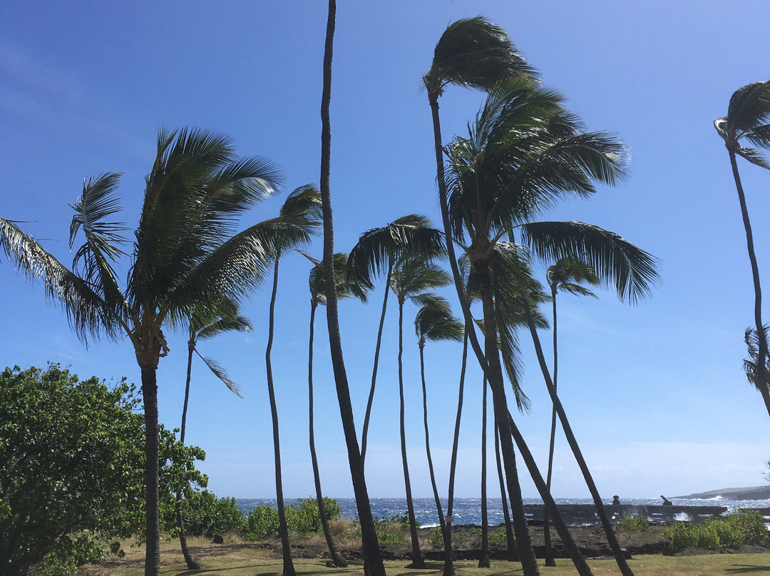 Whittington Beach Park-纳勒胡必去景点