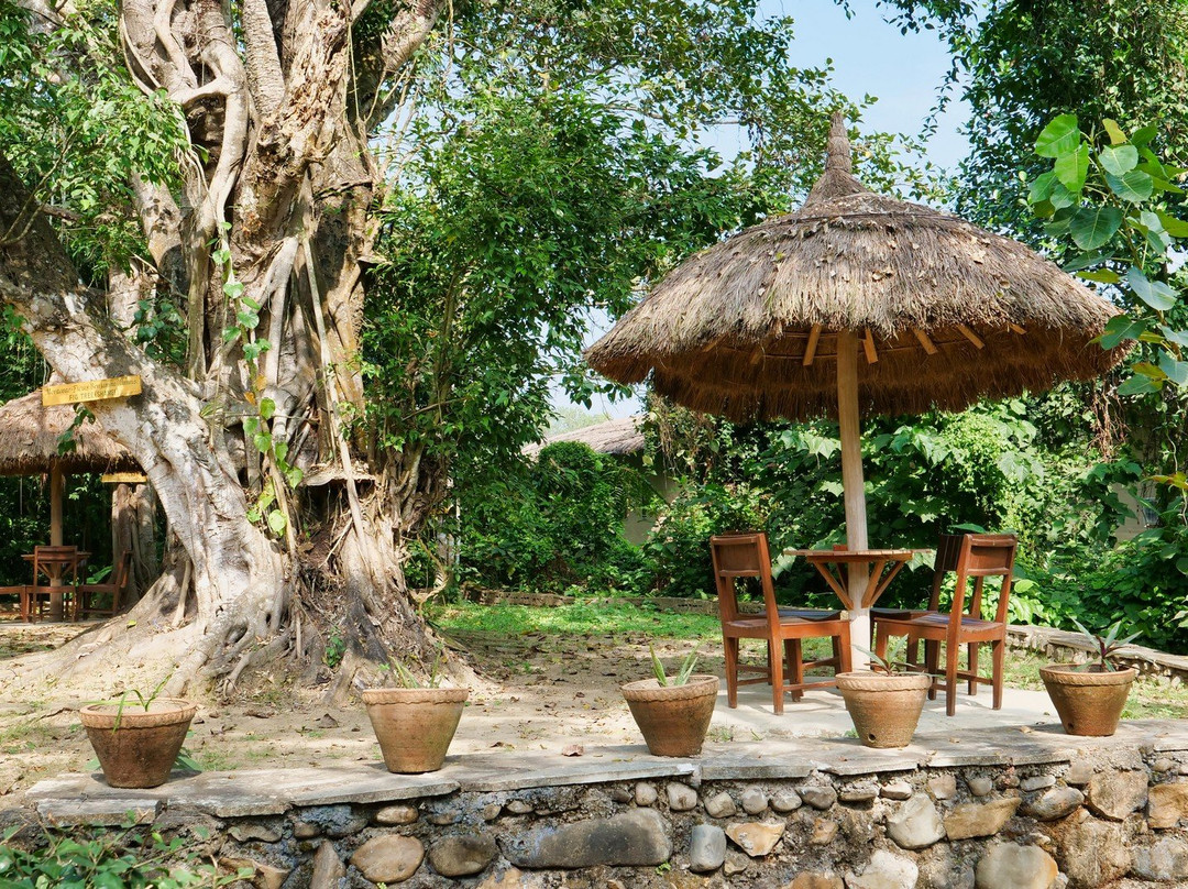 老虎庙绿色丛林度假酒店主图