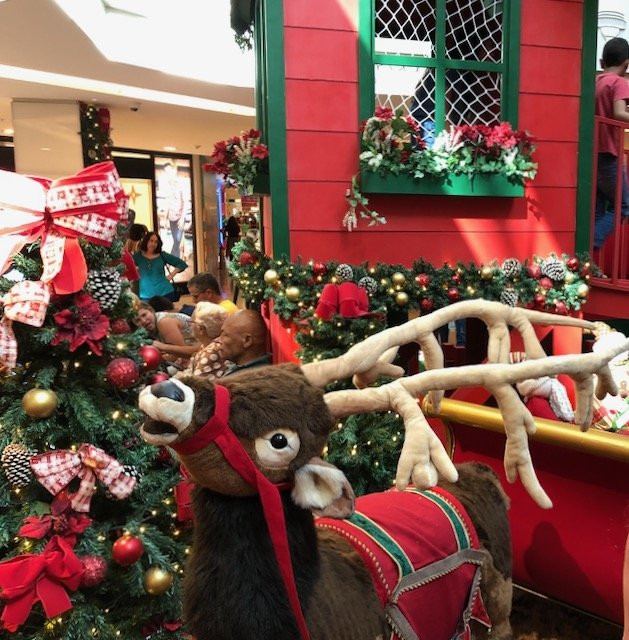 Shopping Recife-累西腓必去景点