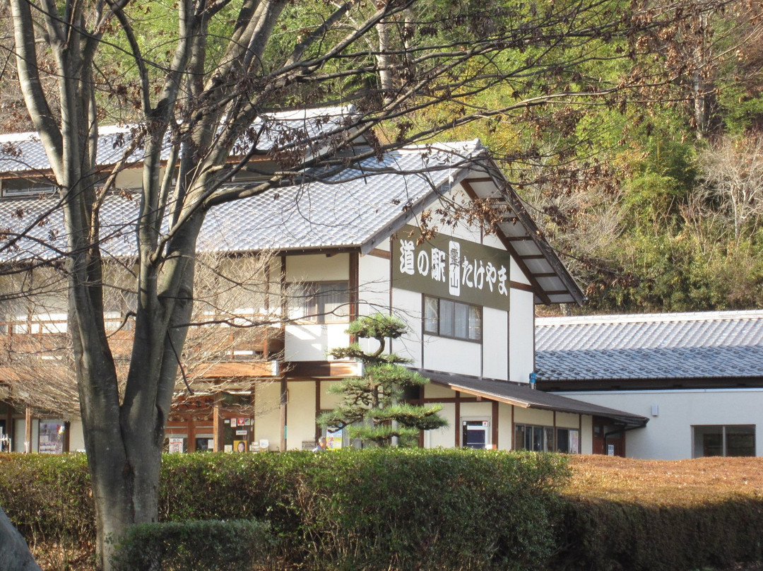 Takeyama no Sanjusanban Kanzeon-中之条町必去景点