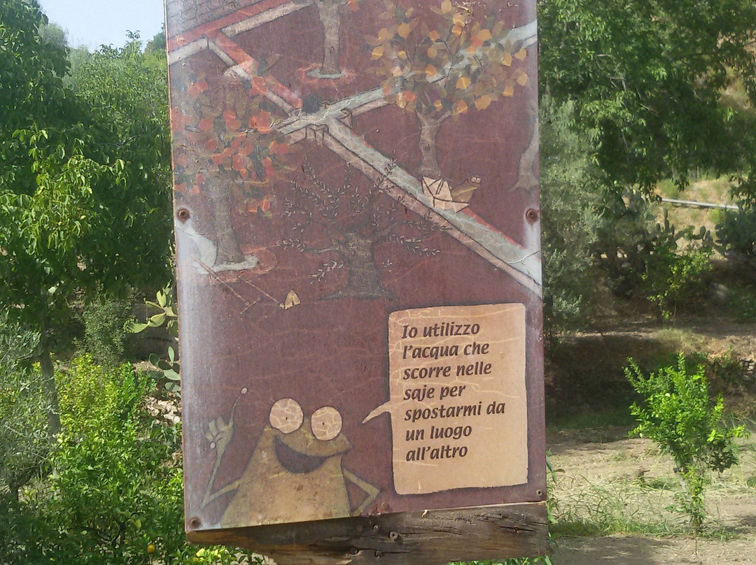 Parco Fluviale dell'Alcantara景点图片
