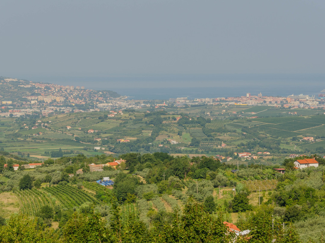 Razgledna Točka Marezige景点图片