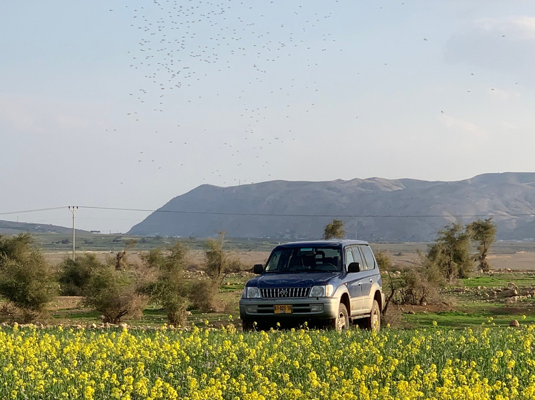 Jericho Resort Village主图