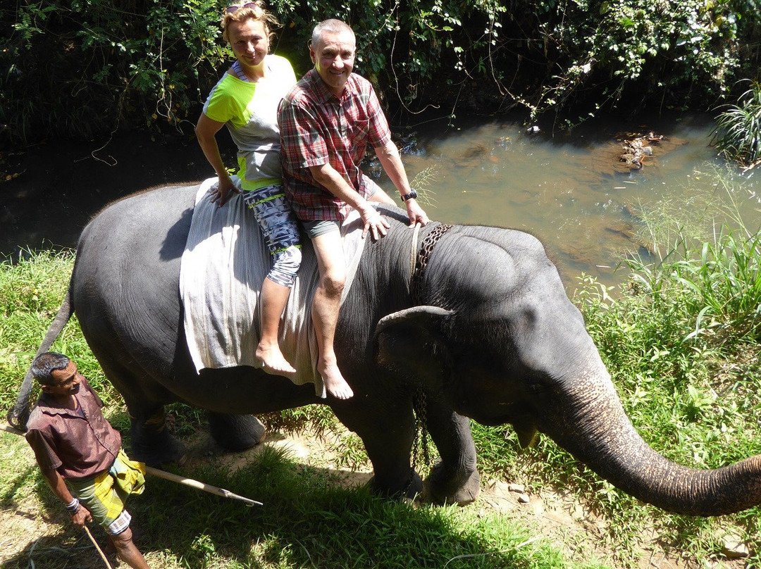 Sri Lanka Peter Tours景点图片