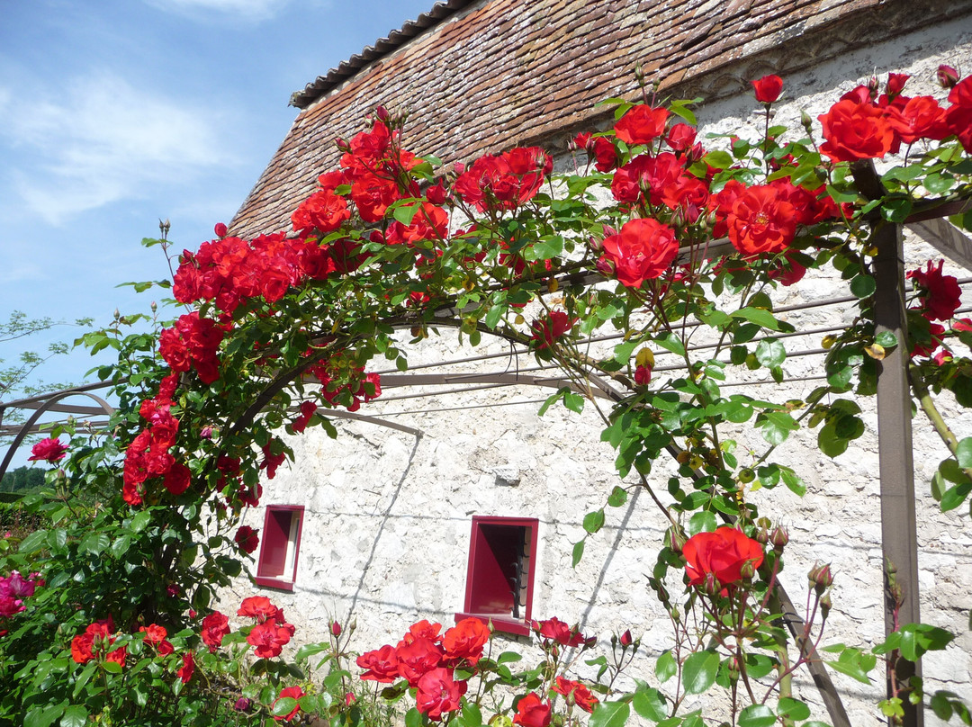 Domaine de Grande Font主图