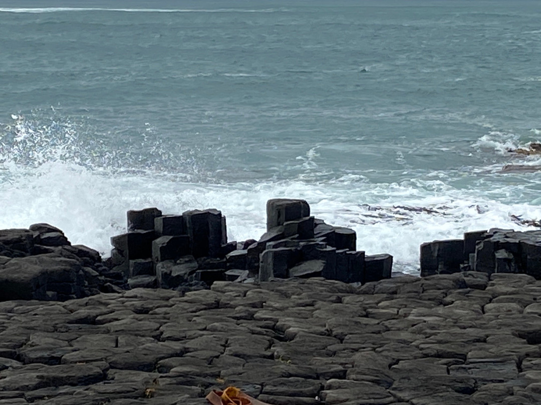 Basalt Columns-Chatham Island (Rekohu)必去景点