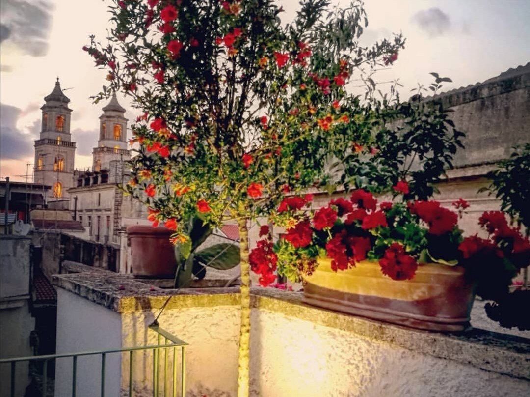 Casa Farella Bed and Breakfast - Mini appartamenti主图